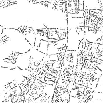 Typographic Map of the City Caguas (Puerto Rico, USA) showing the city center only with street names