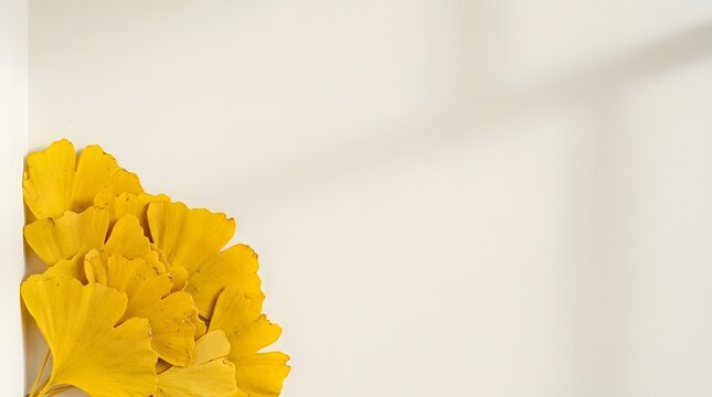 A beautiful bright yellow flower placed on a clean white background with soft natural lighting