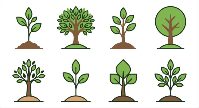 Various stylized trees and saplings a vector illustration with green foliage and brown trunks tree