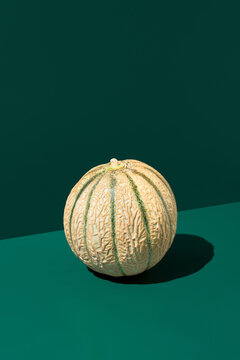 Cantaloupe melon on dark green background with shadow