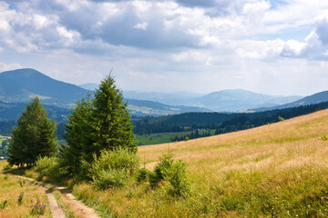 Obraz premium Mountain meadow with country road and pine trees under dramatic cloudy sky