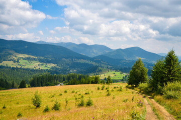 Fototapeta premium Scenic mountain landscape with green forest, meadow, country road and cloudy blue summer sky