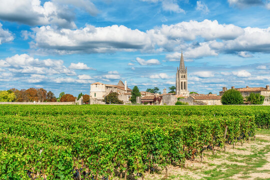 Vineyard in Saint Emilion village and historic church tower surrounded by lush grapevines in French wine region, Bordeaux, France. Rural architecture, vineyard tourism, winemaking