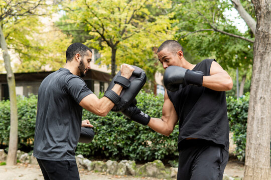 Friends practice boxing outdoors in a park setting