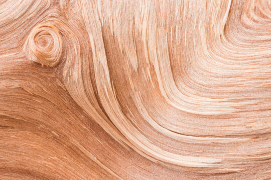 Wood grain, close up