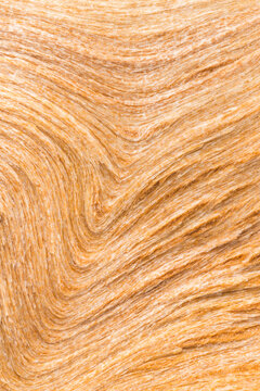 Wood grain, close up