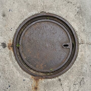 Metal manhole cover on a concrete sidewalk with small plants growing around the edges