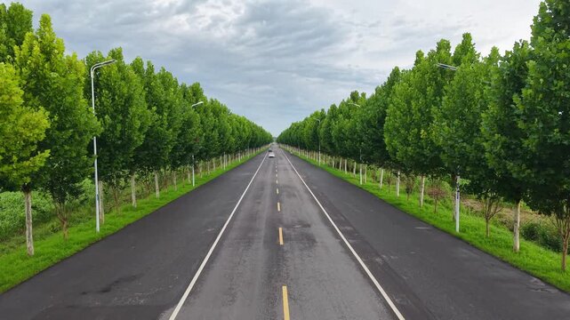Straight asphalt highway lined with symmetrical green trees and driving cars under cloudy sky