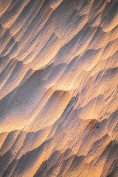Abstract Pumice Stone geology texture in warm light