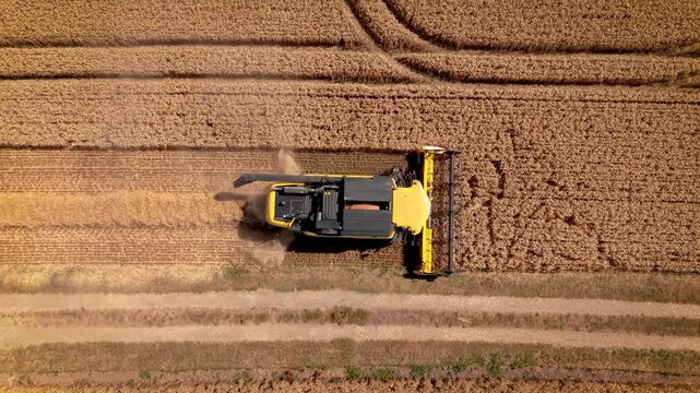 Aerial view of combine harvester working on wheat field