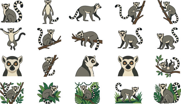 Set of sixteen cute ring-tailed lemur vector illustrations featuring various climbing and sitting poses for design