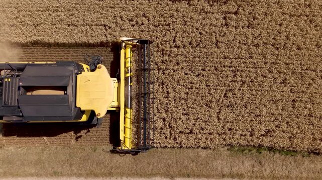 Aerial view above a combine harvester in crop field
