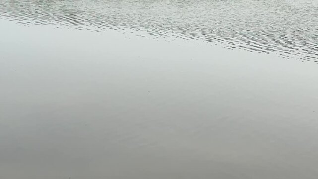 Detailed Close-Up of Freshwater Lake Surface With Soft Ripples and Natural Outdoor Reflections