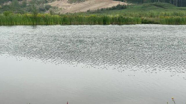 Lake Water Surface With Natural Reflections and Gentle Ripples