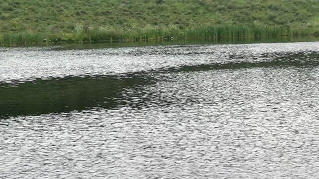 Calm Lake Water Surface With Natural Reflections and Gentle Ripples
