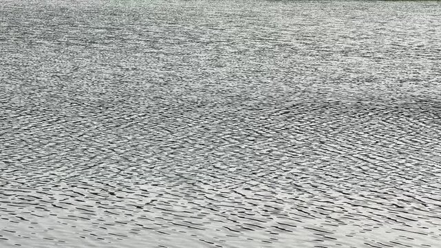 Close-Up of Calm Lake Water Surface With Natural Reflections and Gentle Ripples