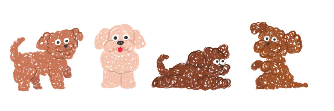 Cute maltipoo dog set isolated on white background. Hand drawn crayon textured vector illustration of fluffy puppy in different poses, sitting, standing, lying and begging.