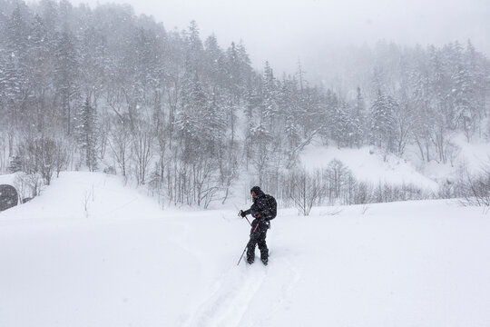 Man ski touring in deep powder during a Hokkaido snowstorm