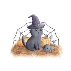 Black cat in witch hat and spider sitting on grass with pumpkins, mushrooms and web isolated on white background. Hand drawn watercolor illustration