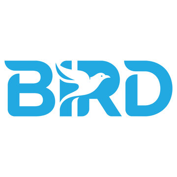 Blue bird logo design text typography with a flying bird icon replacing the letter i