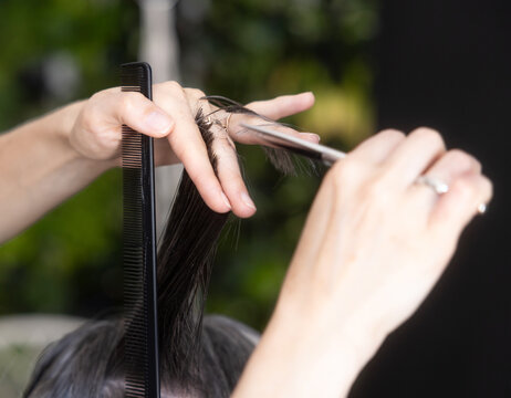 Hairdresser cut client hair with scissors in salon