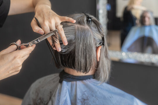 Hairdresser cut gray hair in professional salon