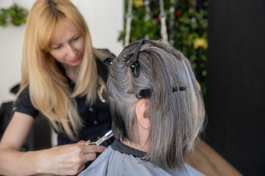 Hairdresser cutting gray hair in a professional salon