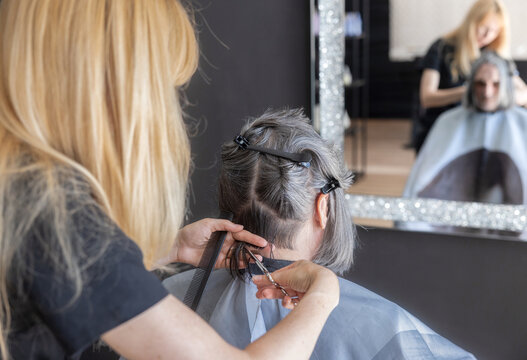 Hairdresser cut male client hair in beauty salon