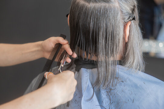Hairdresser cut gray hair in a professional salon