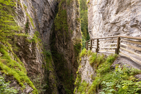 Scenic gorge trail with wooden railing in lush forest