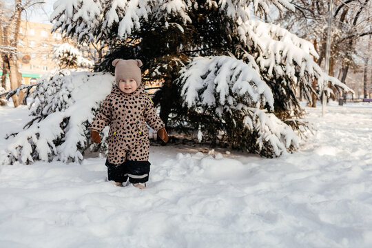 Toddler standing in snowy park near evergreen tree