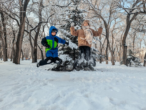 Children jumping in snowy park by pine tree in winter