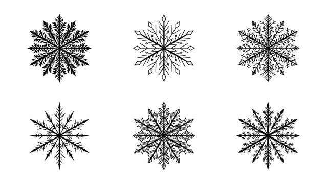 Intricate snowflake designs in black and white