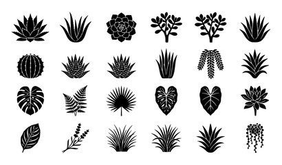 Black succulent and leafy foliage silhouette icon collection for botanical and garden vector design © Md