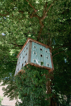 Taubenhaus