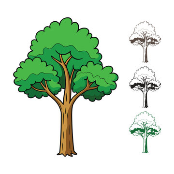 A green tree vector illustration is isolated on a white background