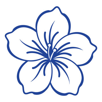 Elegant Hibiscus Flower Outline Vector Illustration Design