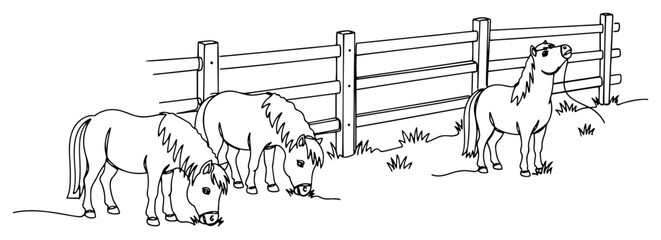 Obraz premium Ponies grazing in paddock with wooden fence line art vector illustration horses on farm coloring page