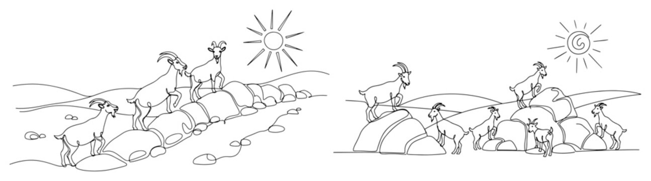 Mountain goats on rocky hills with sun continuous line art drawing minimalist animal vector design