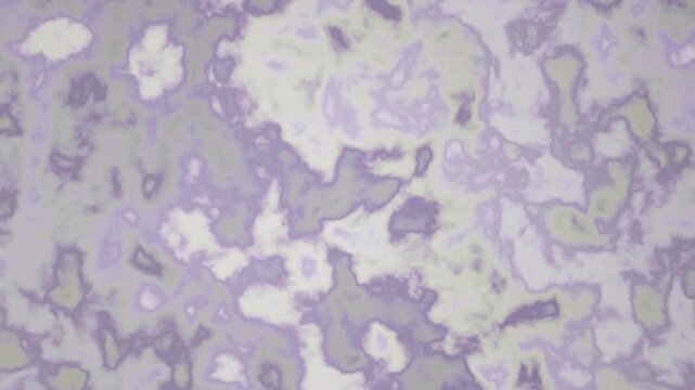 The microscopic view of a bone cross section reveals a seamless trabecular network.