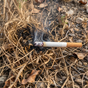 Un m&eacute;got d&eacute;clenche un incendie