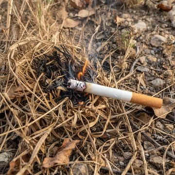 M&eacute;got de cigarette qui met le feu a de l'herbe s&egrave;che
