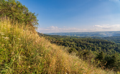 Obraz premium Summer Mountains Landscape with Green forest.