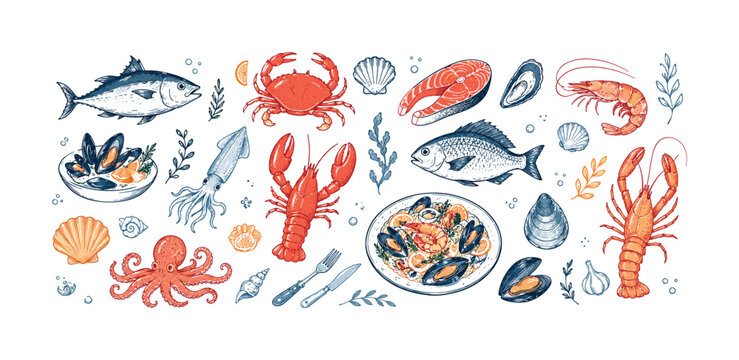 Seafood doodle collection with fish, crab, lobster, shell, plate, utensils, and marine food symbols, seafood, fish, crab, lobster,