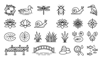 Aquatic pond wildlife outline icon collection with frogs fish water lilies and wetland elements © Md