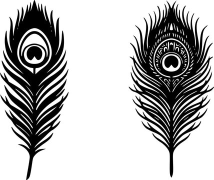 Two black silhouette illustrations of elegant peacock feathers Mor Pankh in minimal and detailed ornate styles with decorative eye pattern, flat vector design perfect for Janmashtami festival, Lord Kr