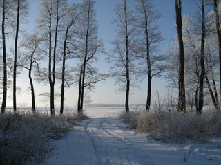 Zima © ukasz