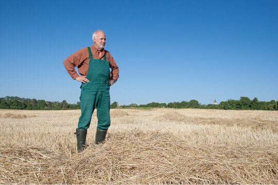 Thoughtful senior farmer surveying his dry harvested cereal field during a hot summer drought, illustrating the impact of climate change on agriculture.