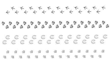 Fototapeta premium Large set of animal and bird trace steps imprints on transparent background 