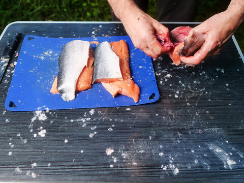 Hands filleting salmon on blue cutting board outdoors. The board is on a foldable travel camping table, green grass is in the background. Fish monger at work in well organized manner. No gloves.